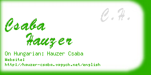 csaba hauzer business card